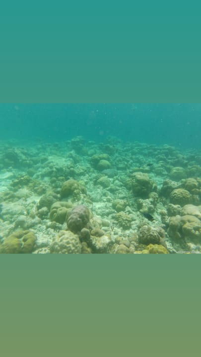 Sport & Freizeit Adaaran Select Meedhupparu Island Resort - Premium All Inclusive