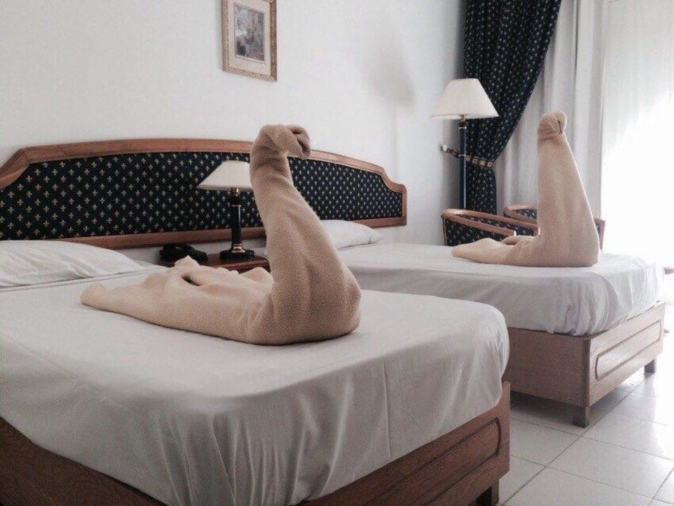 Первый раз как в номер зашли Desert Rose