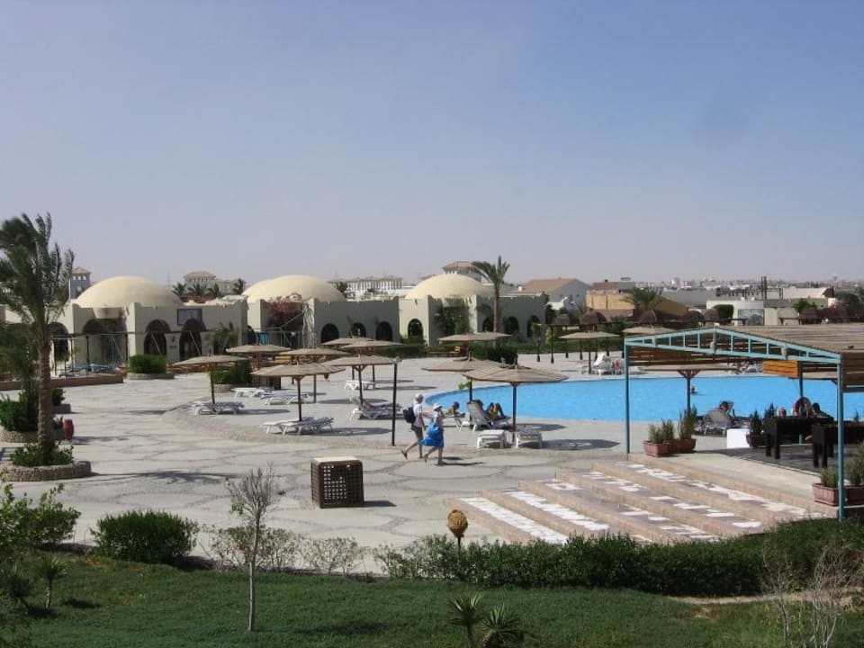 Panorama desert rose 5 Desert Rose