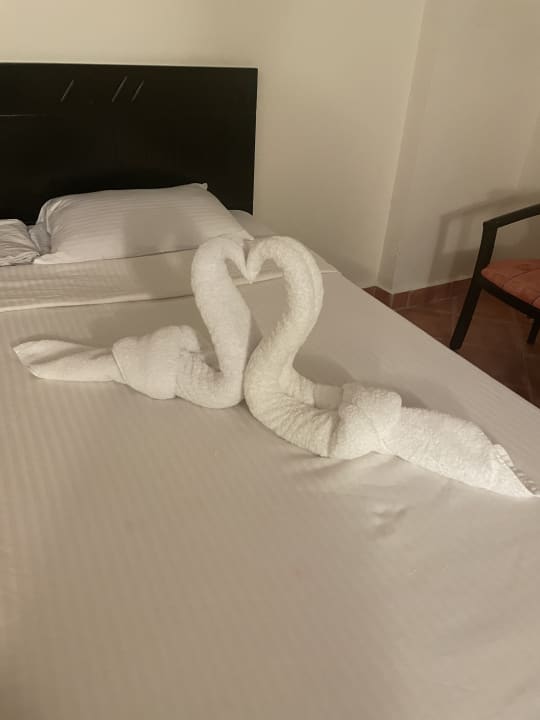 Zimmer Three Corners Sea Beach Resort