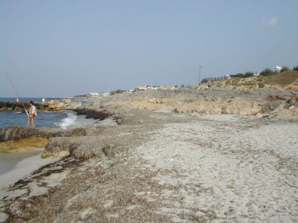Der Strand TUI SUNEO Chrissi Amoudia