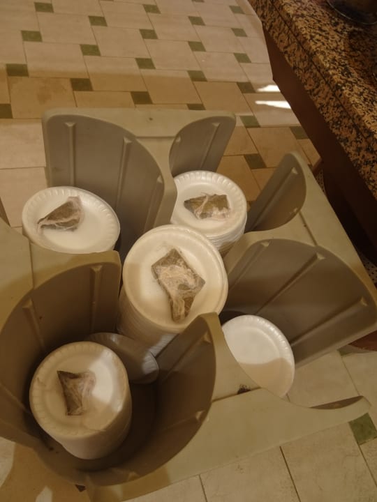 Restaurant Crystal Paraiso Aqua Collection