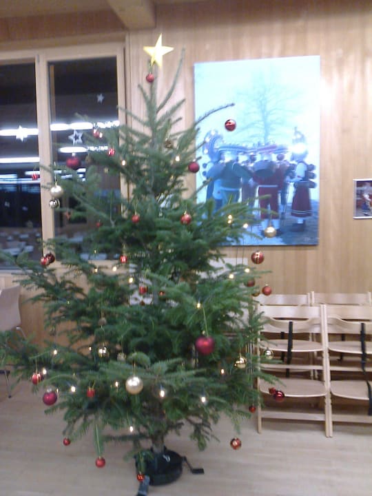 Christbaum im Speisesaal Reka-Feriendorf Urnäsch