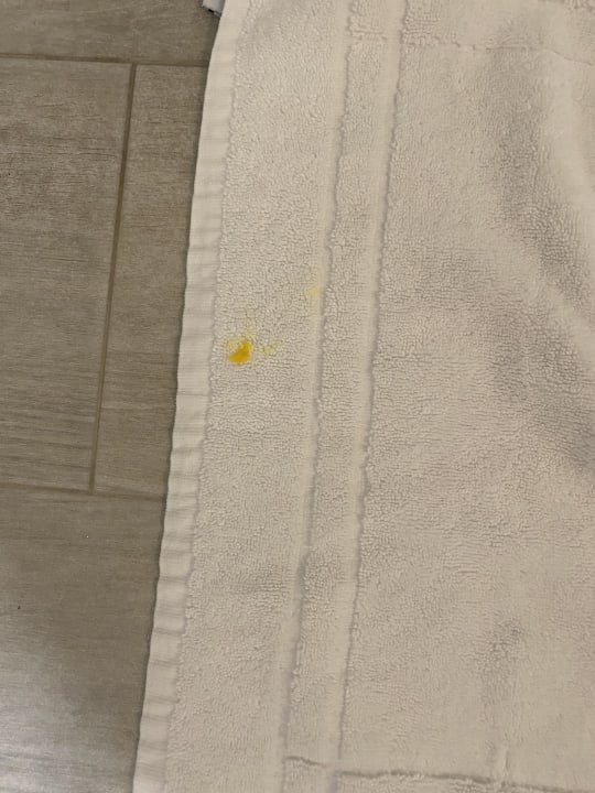 Zimmer Alcudia Garden Aparthotel