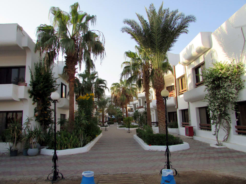 Gartenanlage Marlin Inn Azur Resort