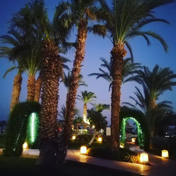 Gartenanlage Lotus Bay Beach Resort