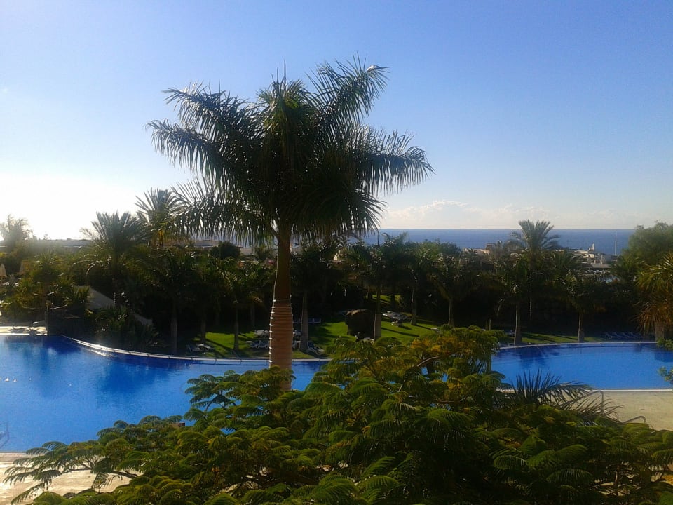 Super gepflegt auch vom Zimmer aus Hotel Costa Calero