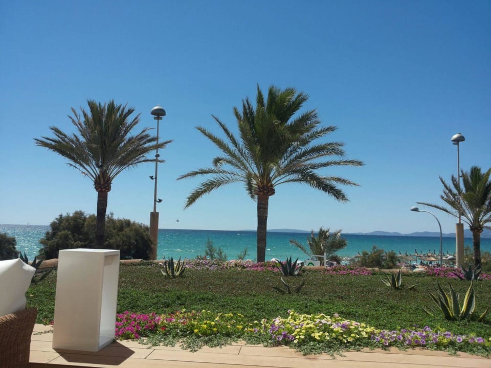 Chillout Zone Blick von der Liege Iberostar Selection Playa de Palma