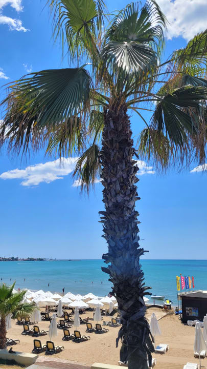 Strand Horus Paradise Luxury Resort & Club