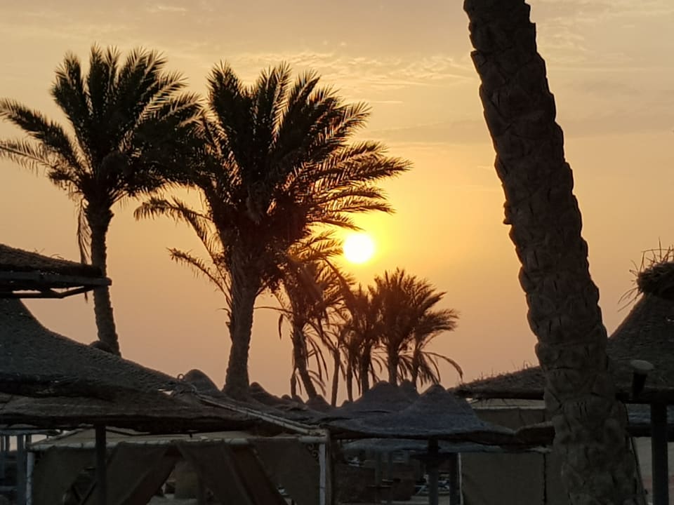 Ausblick Malikia Resort Abu Dabbab