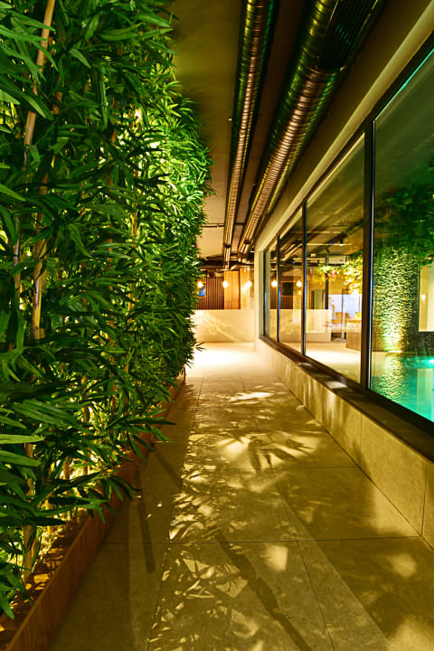 Pool Jasmin Elite Residence & SPA