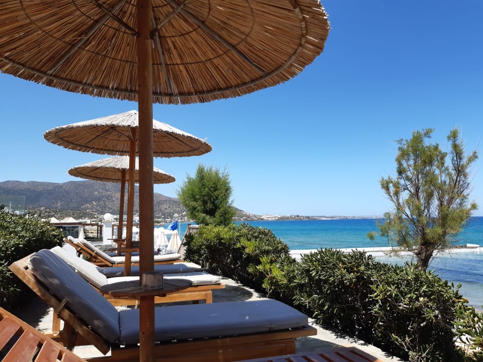 Gartenanlage Alexander Beach Hotel & Village Resort
