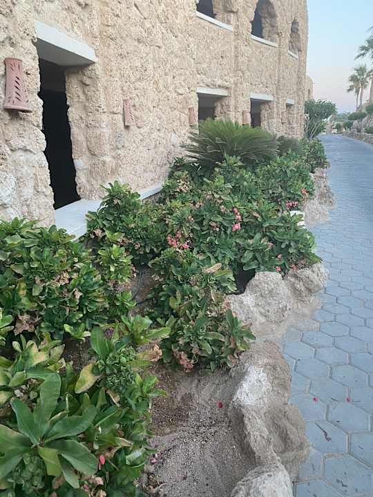 Außenansicht Pickalbatros Citadel Resort