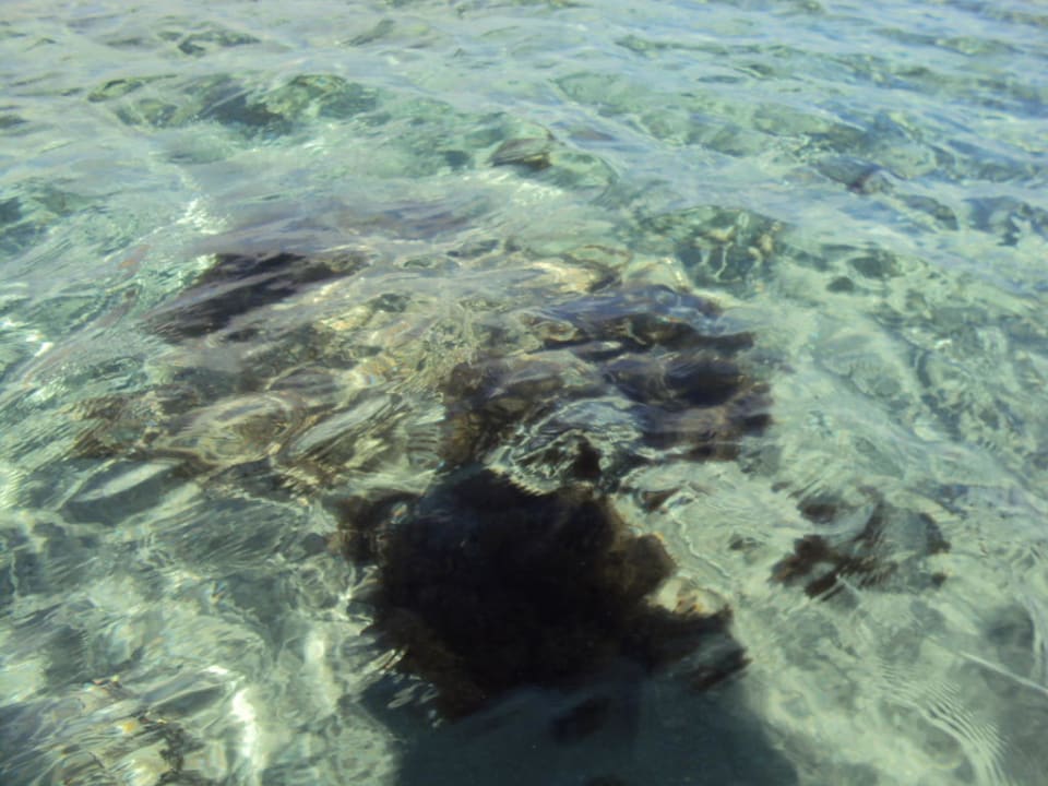 Meer Pickalbatros Dana Beach Resort - Hurghada
