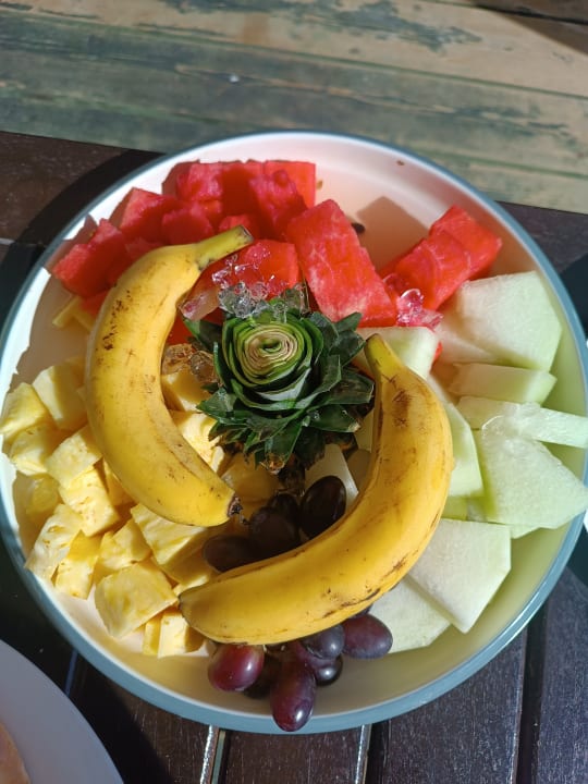 Gastro Adalya Elite Lara