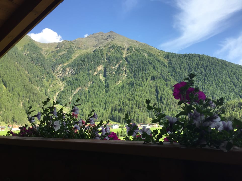 Ausblick Hotel Tauferberg