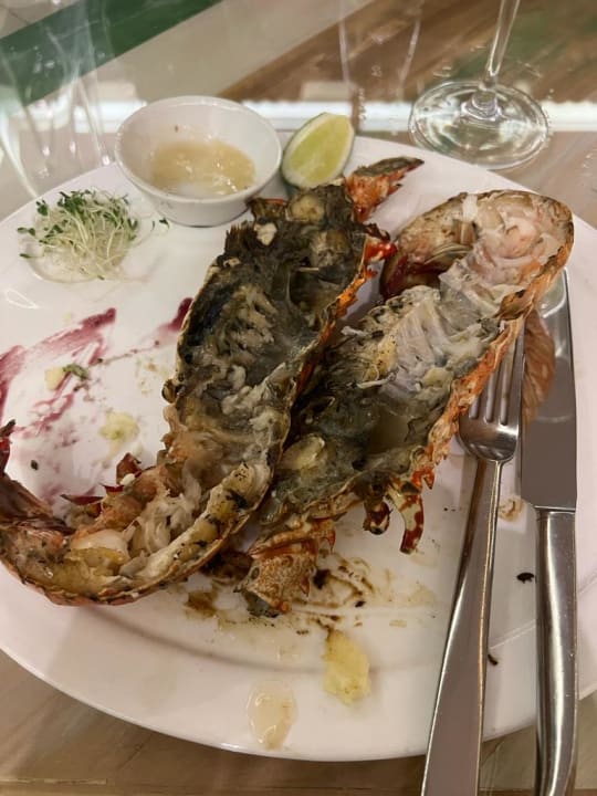 Gastro Dreams Onyx Resort & Spa