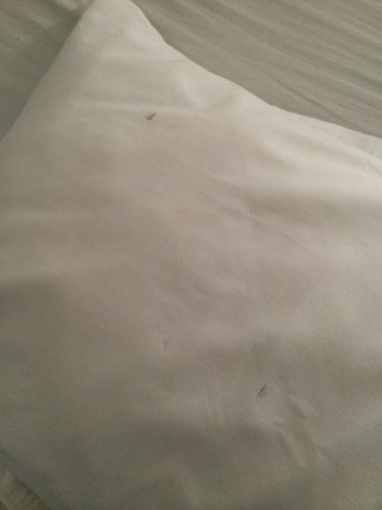 Frisch bezogenes Bett Calimera Yati Beach