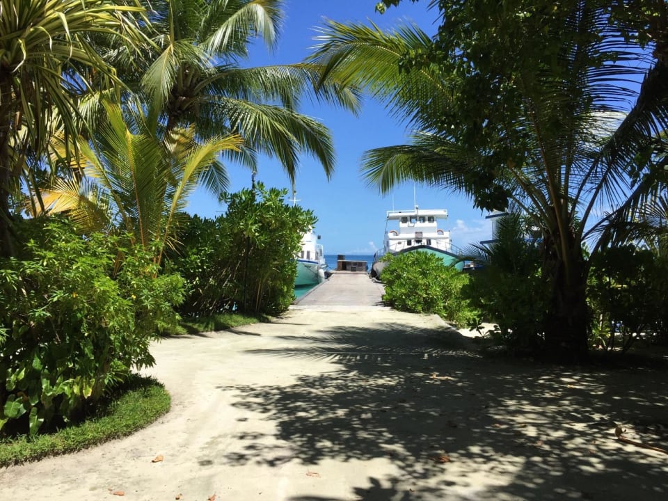 Von der Reception aus  Kuramathi Maldives