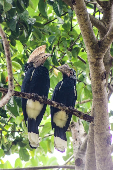 Gartenanlage Baobab Beach Resort & Spa