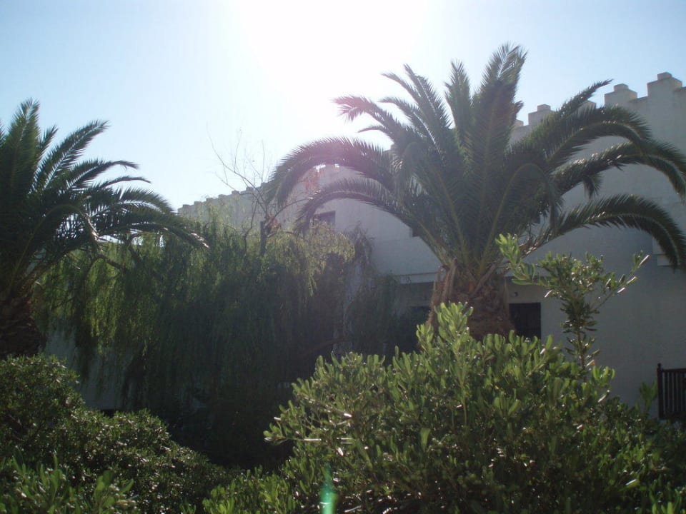 Blick vom Balkon TUI BLUE Oceanis Beach and Spa Resort