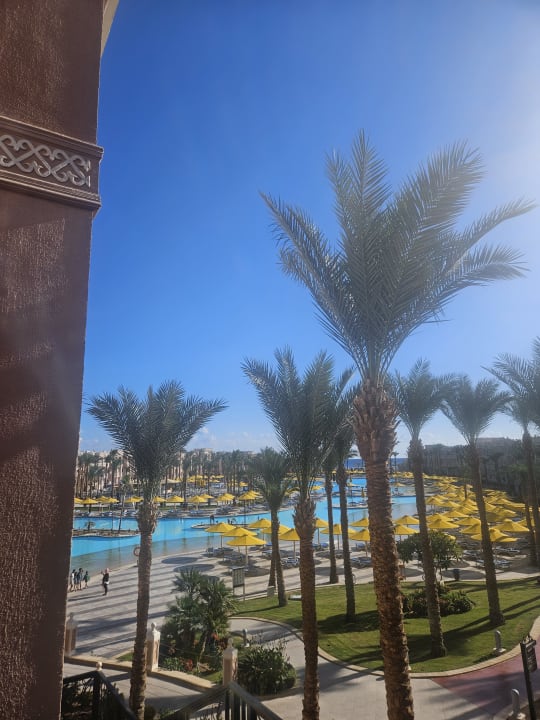 Pool Pickalbatros Palace Resort