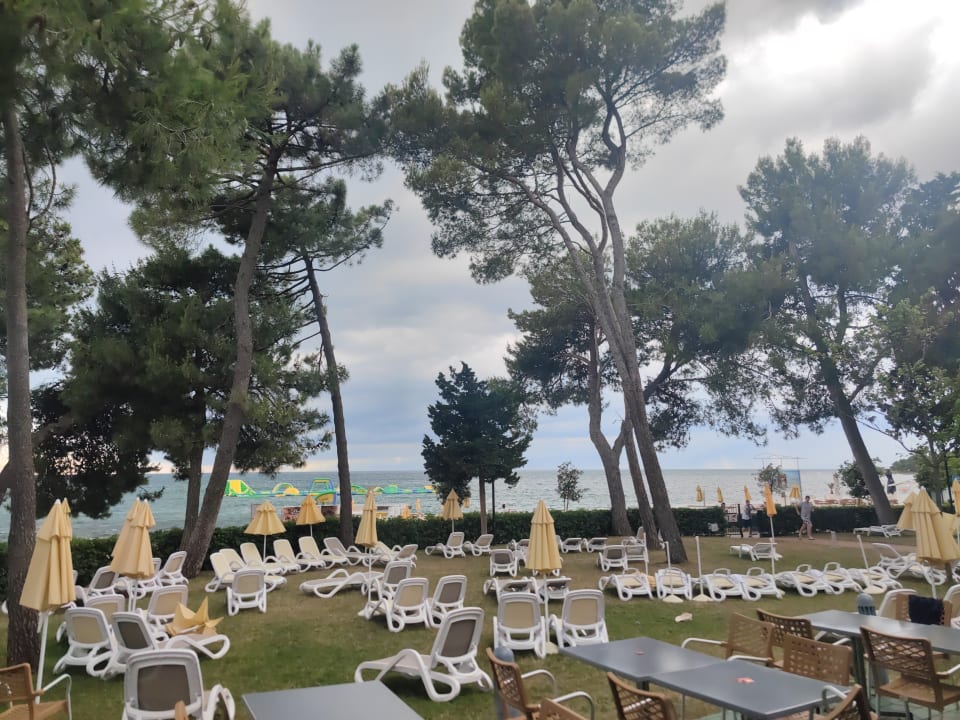 Gartenanlage Hotel Aurora Plava Laguna