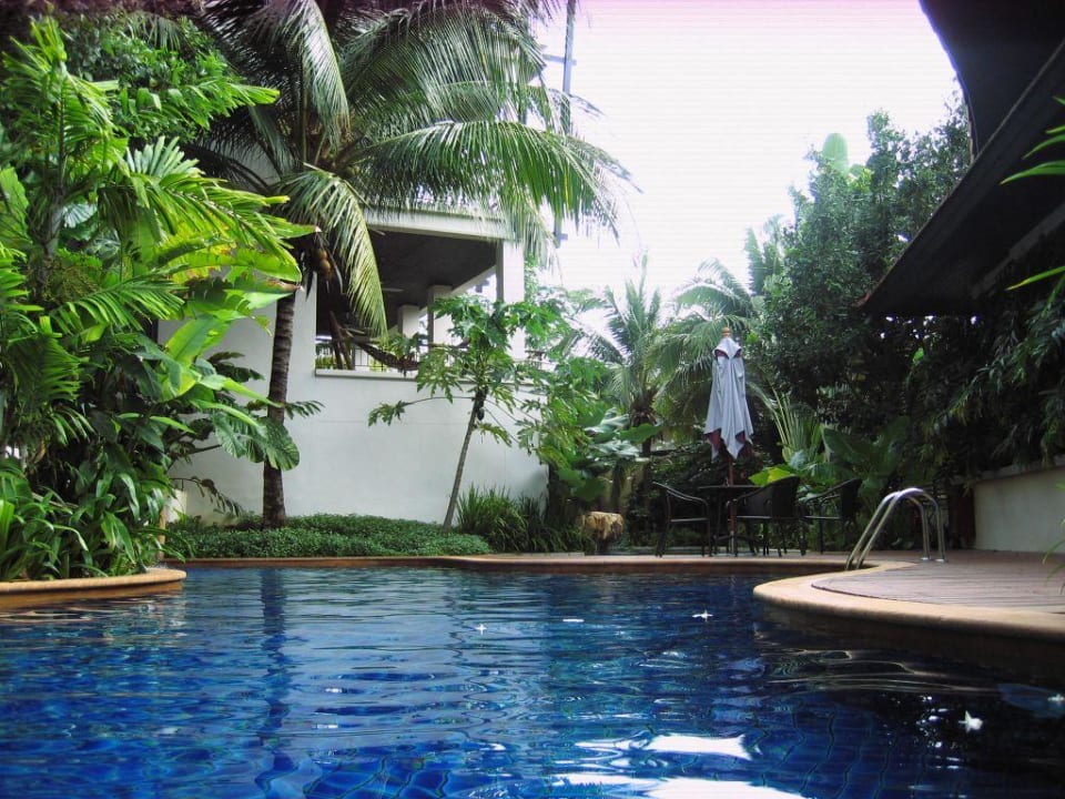 Pool Luxery Apartments Kata Gardens