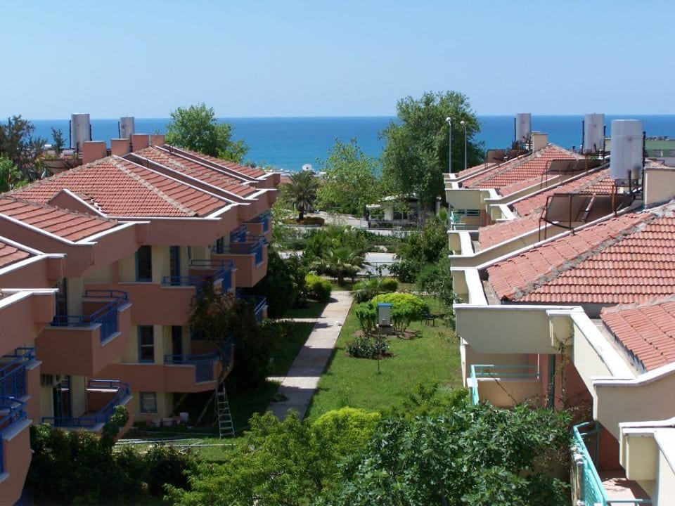 Follow us Dream Family Club