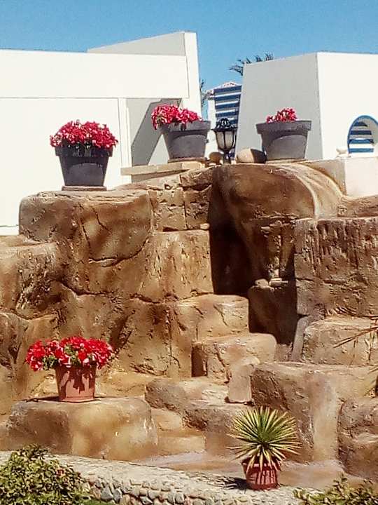 Gartenanlage Pickalbatros Dana Beach Resort - Hurghada