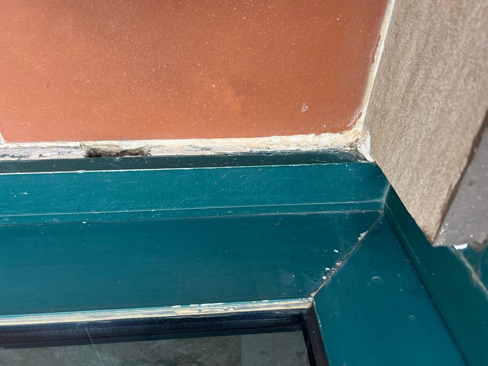 Sonstiges PALOMA Perissia