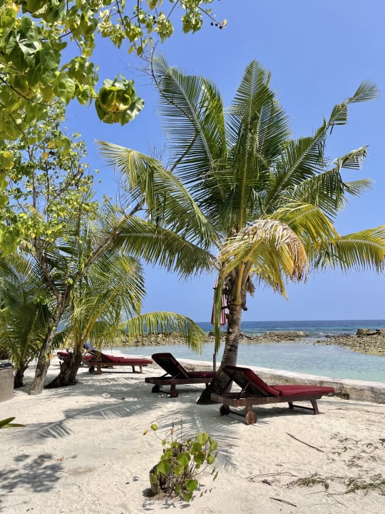 Strand Ellaidhoo Maldives by Cinnamon