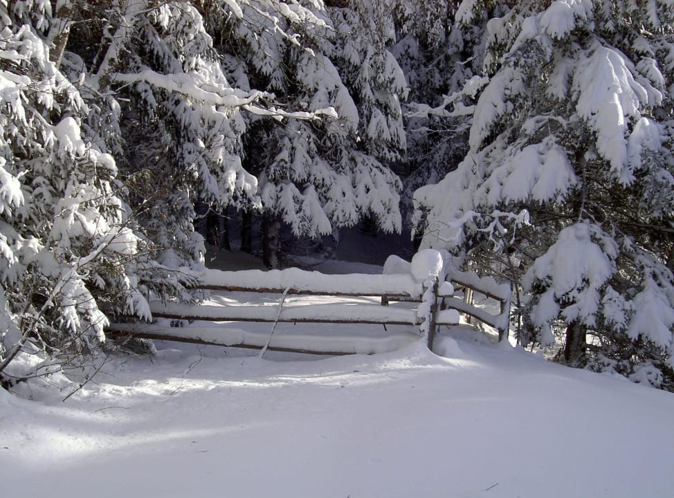 Winterlandschaft Alpengasthof Moser