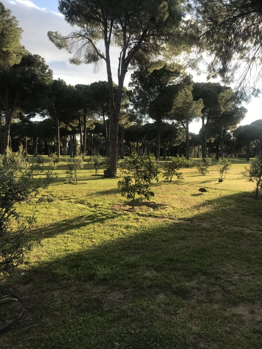 Gartenanlage Gloria Serenity Resort
