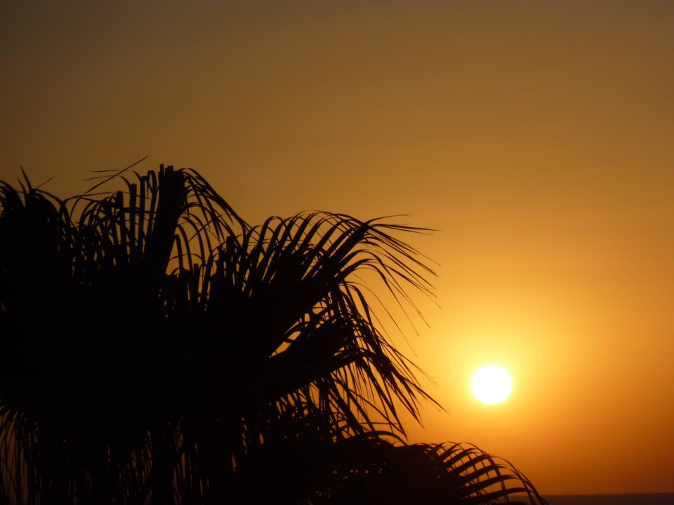 So schön geht die Sonne auf Pickalbatros Citadel Resort
