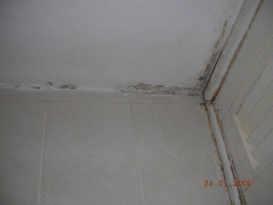 Schimmel Hotel Villa Cuba