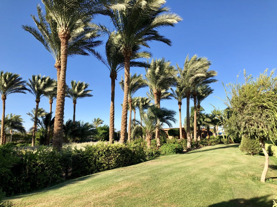 Gartenanlage Steigenberger ALDAU Beach Hotel