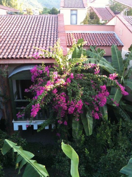 Tuinzicht Limak Limra Hotel & Resort