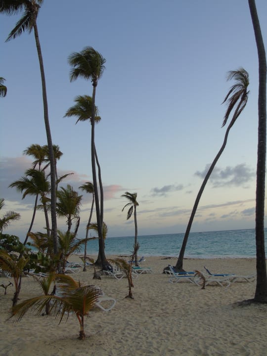 Strand Hotel Riu Palace Macao - Adults only