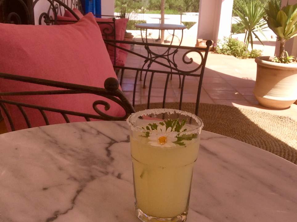 Gastro Maison dˋHôte Domaine El-Manar