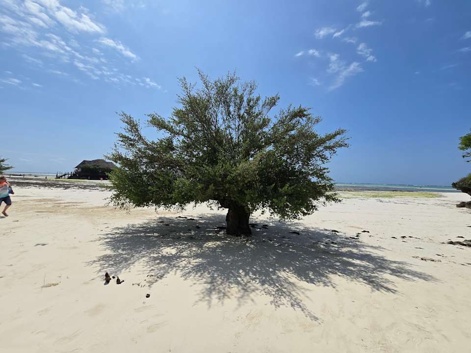 Strand Bluebay Beach Resort & Spa