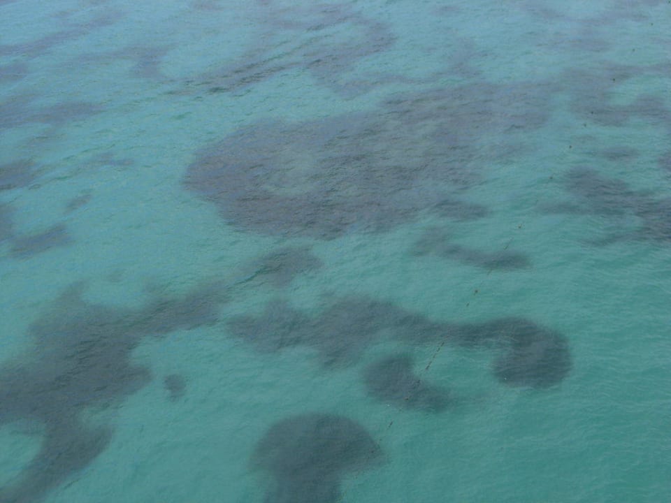 Parasailing lohnt sich Grand Palladium Select Bávaro Resort & Spa