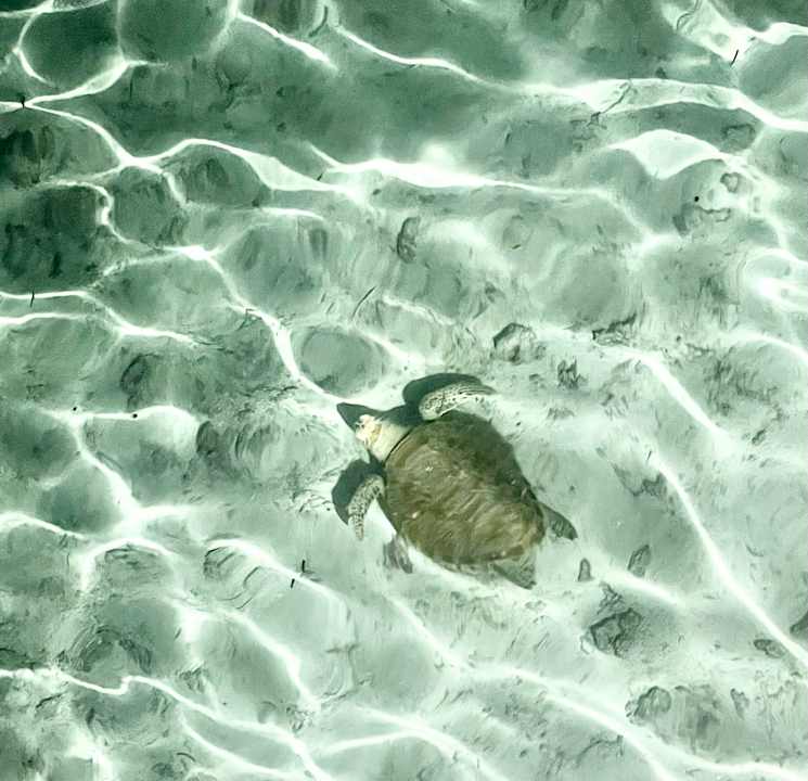 Zimmer Meeru Maldives Resort Island