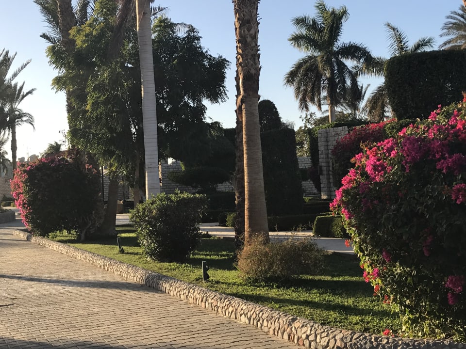 Gartenanlage Aladdin Beach Resort