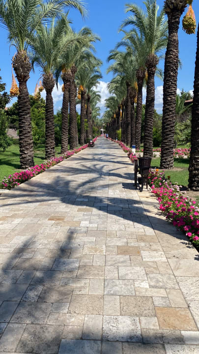 Gartenanlage TUI BLUE Palm Garden