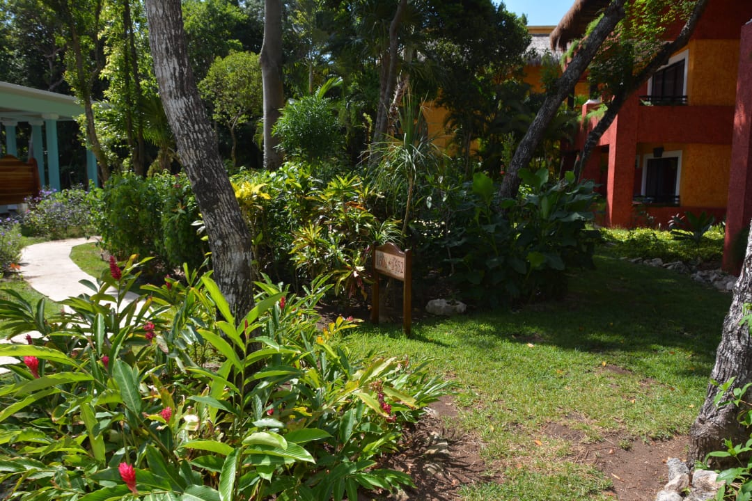 Alles sehr gepflegt Iberostar Waves Tucan