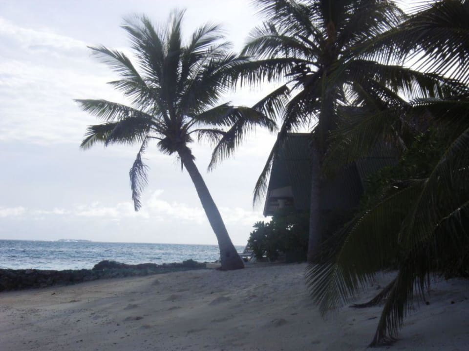 Kurz nach Sonnenaufgang Summer Island Maldives