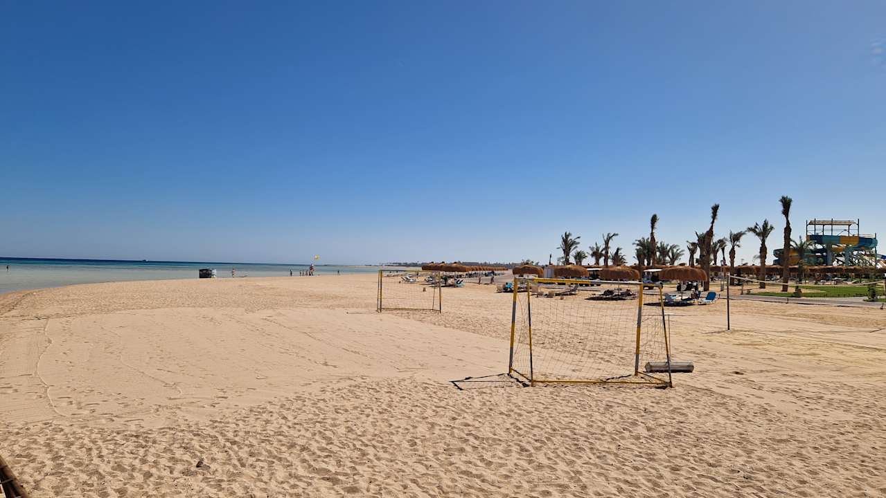 Strand JAZ Elite Asteria