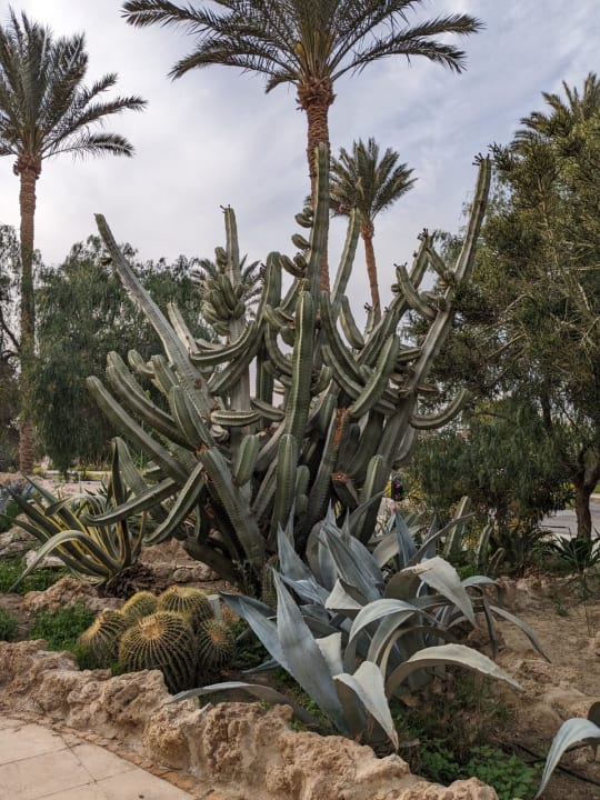 Außenansicht Grand Makadi