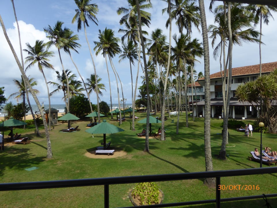 Gartenanlage Tangerine Beach Hotel